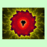 Rose (Print)
