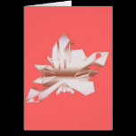 rose quartz healing love crystal cards