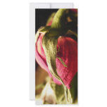 rose personalized rack card