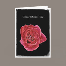 Rose Raindrops Valentine cards