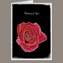 Rose Raindrops with Love cards