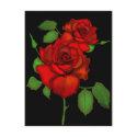 Rose Red Illustration postcards