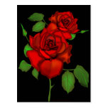 Rose Red Illustration Postcards