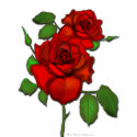 Rose Red Illustration t-shirts