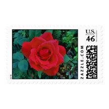 Rose Red Postage