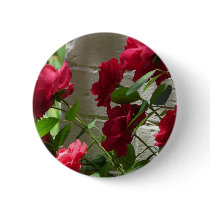 rose,red rose buttons