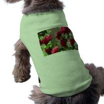 rose,red rose pet clothing