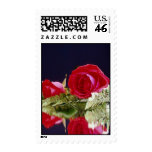 Rose reflections flowers postage stamp