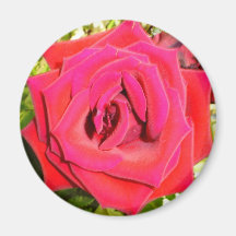 Rose Refrigerator Magnet