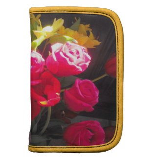 Rose Rickshaw Folio Planner rickshawfolio