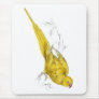 Rose-Ringed Parrakeet  (Yellow variety) by Edward Mouse Pads