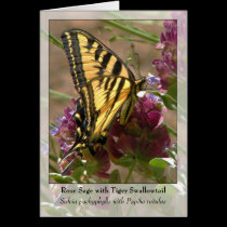 Rose Sage with Tiger Swallowtail - Native Notecard cards