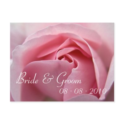 Rose :: Save the Date Postcard by HortusFloridus