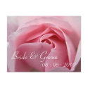 Rose :: Save the Date Postcard by HortusFloridus Rose :: Save the Date Postcard