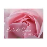 Rose :: Save the Date Postcard