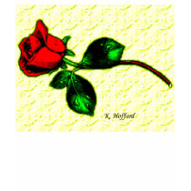 Rose t-shirts