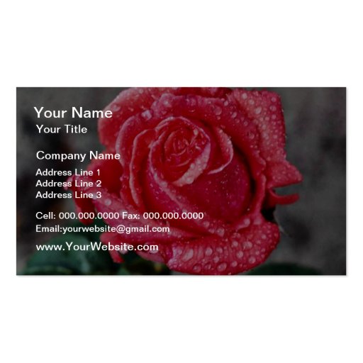 Rose, Shropshire Garden, after rain  flowers Business Card (front side)
