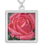 Rose, Shropshire Garden, after rain  flowers Custom Jewelry