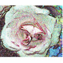 Rose sketch photo sculptures by annakata46 Rose sketch photo sculptures