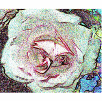 Rose sketch photo sculptures