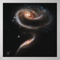 Rose Spiral Galaxies Poster