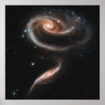Rose Spiral Galaxies Poster