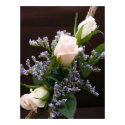Rose Spray posters