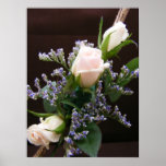 Rose Spray posters