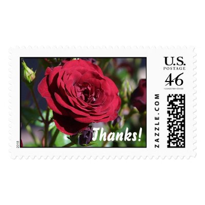 Rose Stamp 
