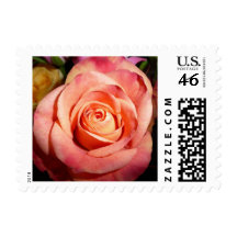 Rose stamp