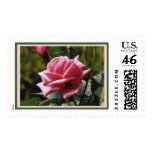 Rose Stamp