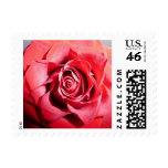 Rose stamp