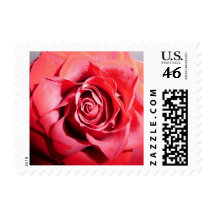 Rose stamp