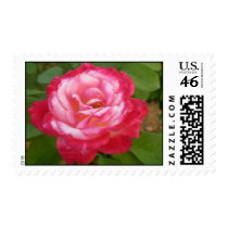 Rose Stamp by bonnievoyage Rose Stamp