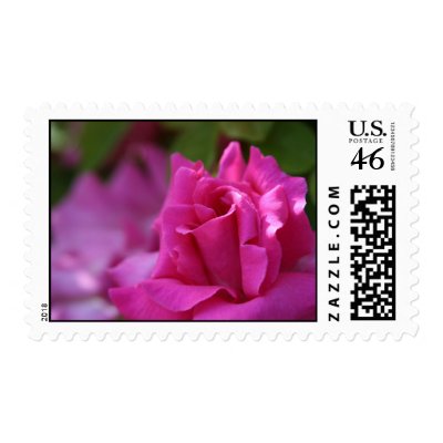 Rose stamp