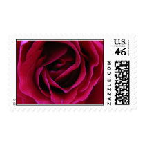 rose stamp by indoorgreenhouse rose stamp