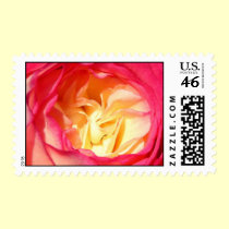 Rose Stamp