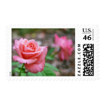 Rose stamp