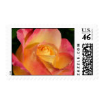 Rose Stamps