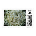 Rose stamps