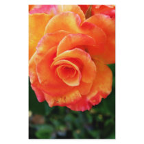 Rose stationery by dinatemraz Rose stationery