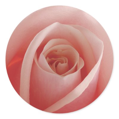 rose sticker