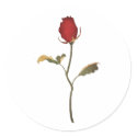Rose stickers by evisionarts Rose stickers