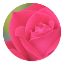 Rose sticker