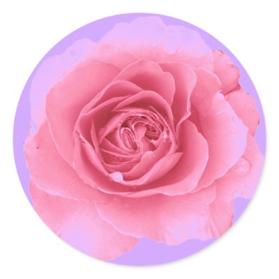 Rose Sticker by ggbythebay