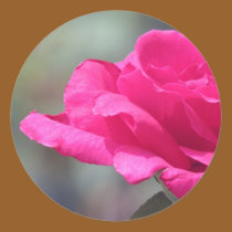 Rose stickers