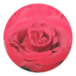 Rose Sticker sticker