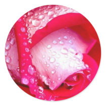 rose stickers