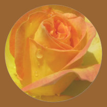 Rose stickers