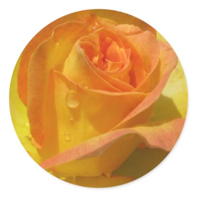 Rose stickers